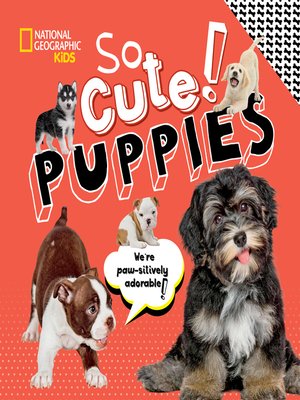 cover image of So Cute! Puppies